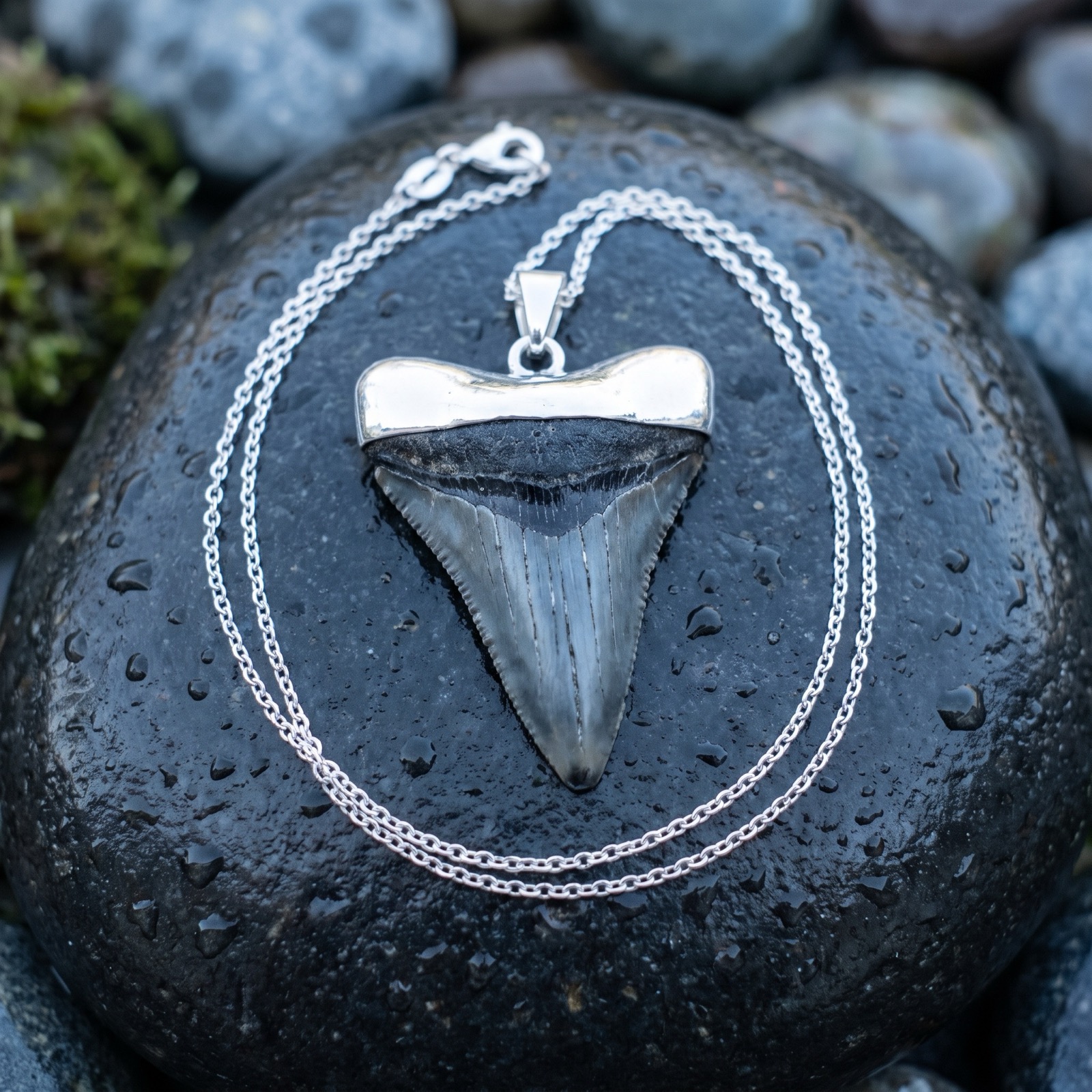 Jewelry collection
